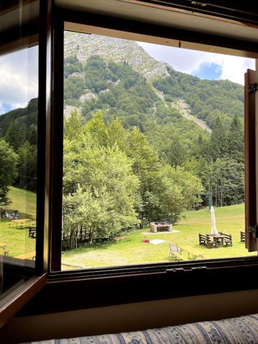 Sulle Piste Da Sci *
